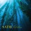 Satie (Arr. for Cello) - Single