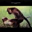 Danski & DJ Delmundo Present...