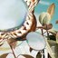 Suppli Crush - Single