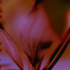 Avatar for nkedsoul