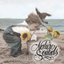 Nature Sounds