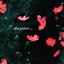 duyster.4