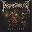 Cadaver
