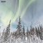 Arctic
