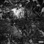 BREAKING SIGNALS