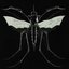 GNAT