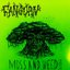 Moss And Weed