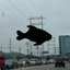Long Sardine (Flip)