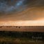 Storm Rains