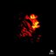 Red Elements - EP