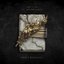 Sweet Kerosene (With Acceptance) - Single
