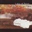 Forever Autumn (2022 Remastered edition)