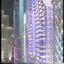 midnight walk