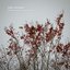 Pleasant Sounds for Unpleasant Times, Vol. 2