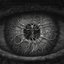 The Seer