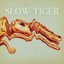 Slow Tiger