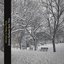 Winter in New York