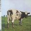 Atom Heart Mother [1995, TOCP-8415]
