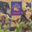 The Nature Company 1995 Music Sampler