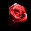 Romantic Homicide (Live)