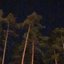 lyy2 (sped up)