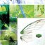 Viridian - Single