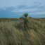 The Tension Between