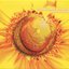Cosmik Chill Yellow