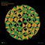 Bringing Humanity Home EP