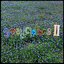 smallcothes 2