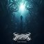 The Vessel