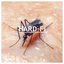 Sweating Someone Else's Fever [Explicit]