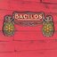 Bacilos