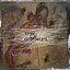 Centrinės Azijos Salamander (EP)