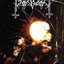 Teutonic Warriors Of The Moon