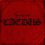 CAEDUS