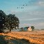 Morning Light