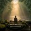 Forest Bathing 432 Hz (Shinrin Yoku) – The Magic of Nature