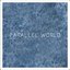 parallel world