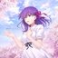 Fate/stay night [Heaven's Feel] Original Soundtrack Another Edition