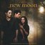 The Twilight Saga: New Moon