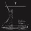 ambivalence to violenta
