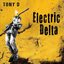 Electric Delta