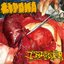 Lipoma / Infester