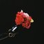 In Your Name - Single