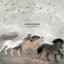 Choir of Horses