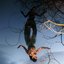 MurMurs [Explicit]