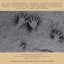 Anthology Of Experimental Music From Australia