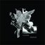 Split w Cyclamen