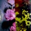 floral arrangements